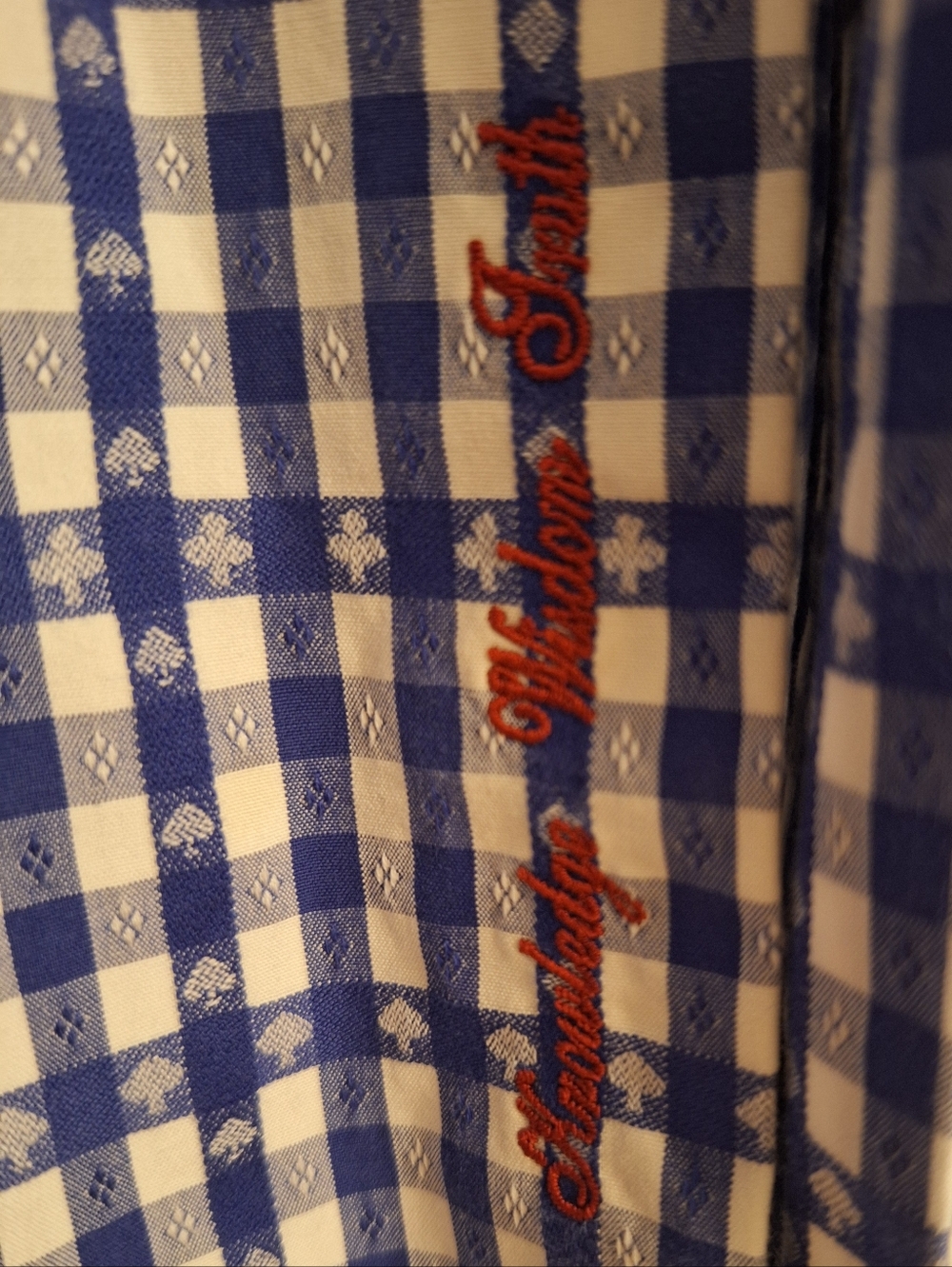 Robert Graham Boys Blue Gingham Playing Cards Shirt  14/16